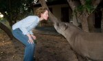 Nina the Tapir (Pantanal, Brazil 2009)